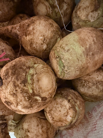 Rübe Left Marokko 1Kg