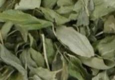 Bio Marokkanische Reyhan Blätter 20g.