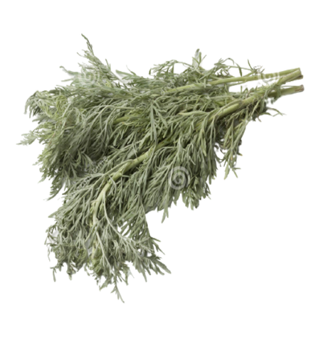 Marrokanische Absinth chibaa 1stk