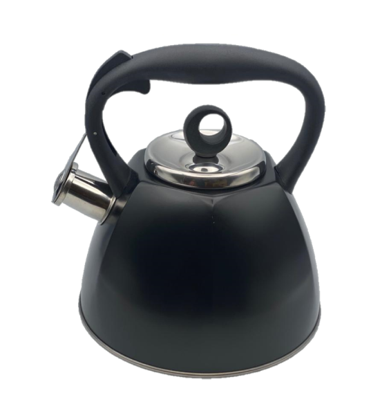Wasserkocher S SwissLine 3L Silber