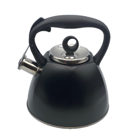 Wasserkocher S SwissLine 3L Silber