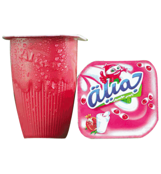 Raibi Jamila 170gx24