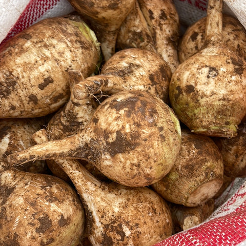 Rübe Left Marokko 1Kg